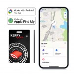 DualTag Card Classic (Produktebeispiel)